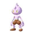 Tyrogue