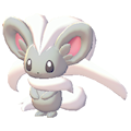 Cinccino