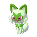 Sprigatito