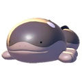 Clodsire
